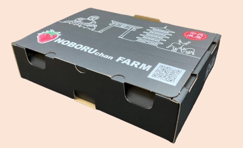 高級果物用段ボールケース